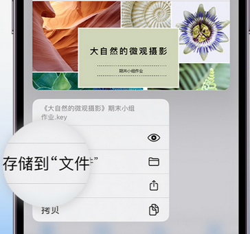 承德apple维修中心分享iPhone文件应用中存储和找到下载文件