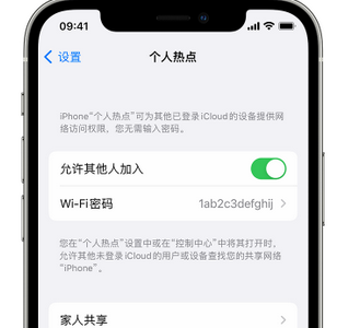 承德apple服务站点分享iPhone上个人热点丢失了怎么办 