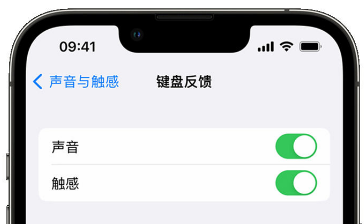 承德苹果手机维修分享iPhone 14触感键盘使用方法 