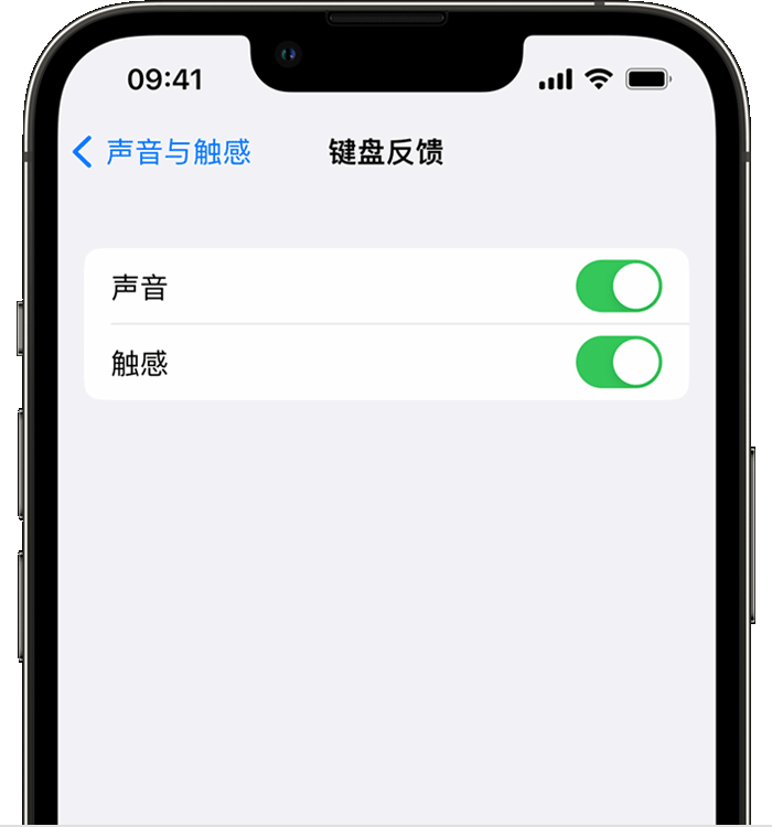 承德苹果14维修店分享如何在 iPhone 14 机型中使用触感键盘 