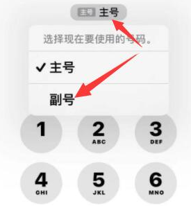 承德苹果14维修店分享iPhone 14 Pro Max使用副卡打电话的方法 