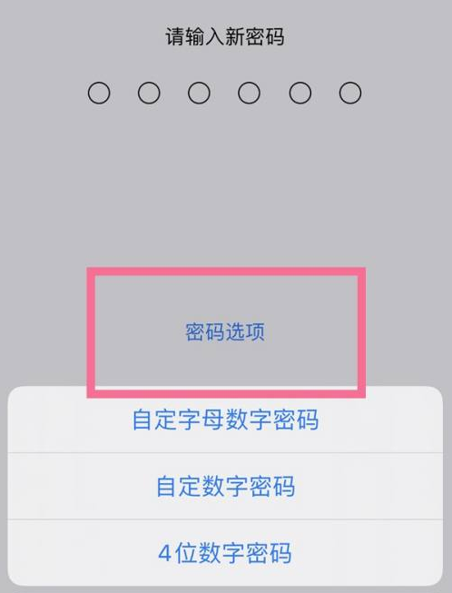 承德苹果14维修分享iPhone 14plus设置密码的方法 