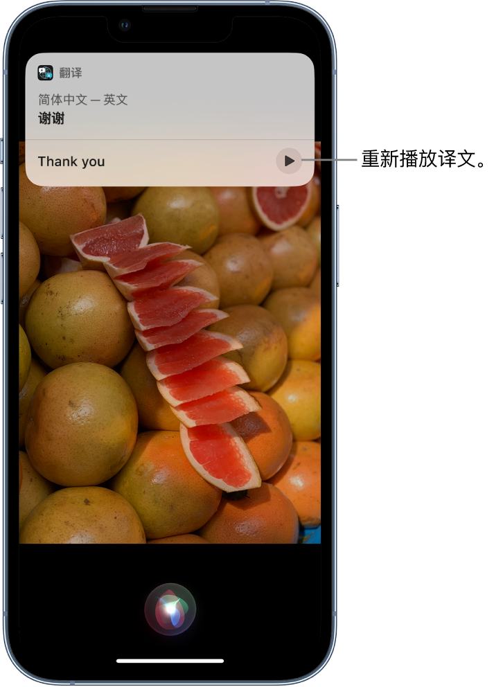 承德苹果14维修分享 iPhone 14 机型中使用 Siri：了解 Siri 能帮你做什么 