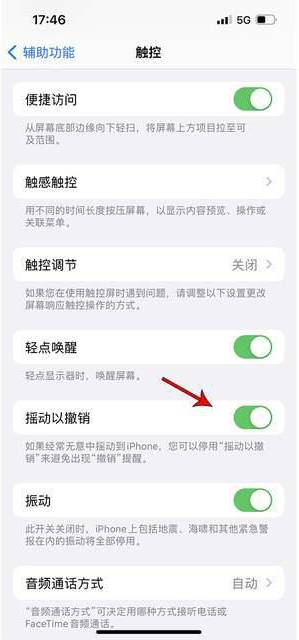 承德苹果手机维修分享iPhone手机如何设置摇一摇删除文字 