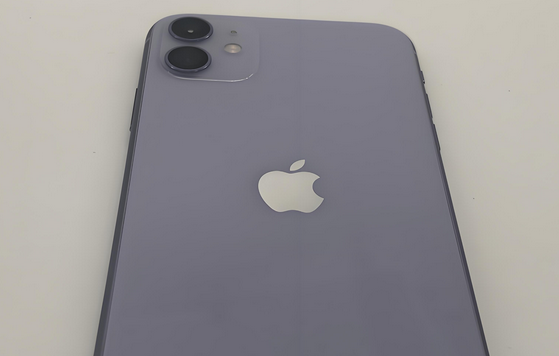 承德苹果11系统维修分享iPhone11手机系统崩溃无法开机如何解决 